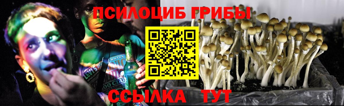 Галлюциногенные грибы прущие грибы Миллерово